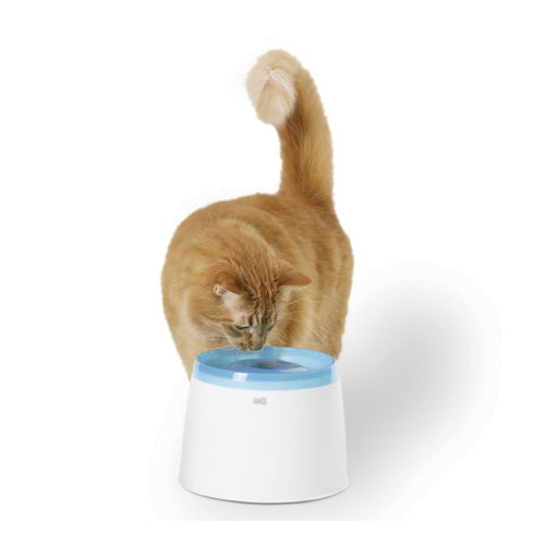  Catit Fresh & Clear Drinking Fountain