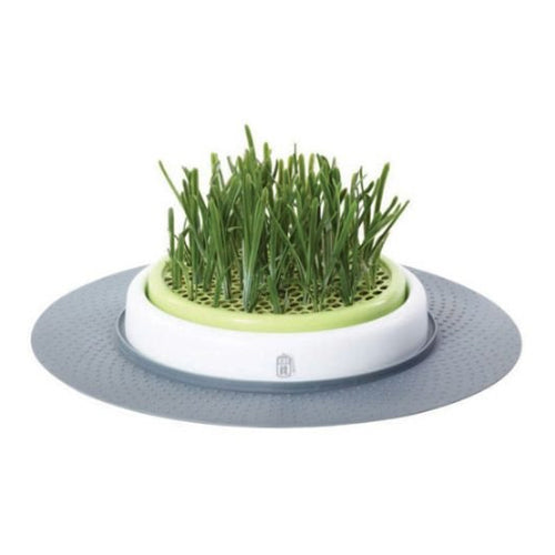  Catit Senses Grass Garden