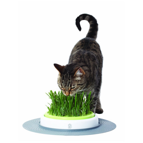  Catit Senses Grass Garden