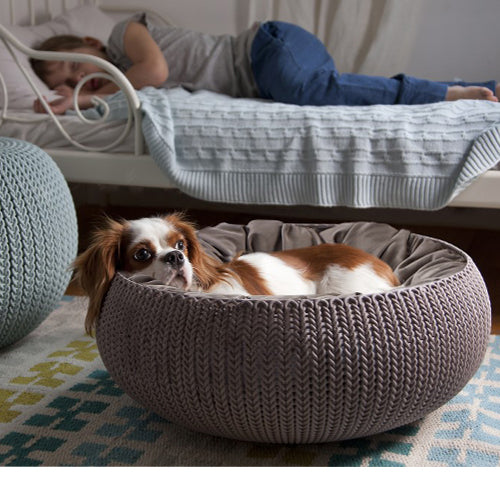  Curver Petlife Cozy Pet Bed 