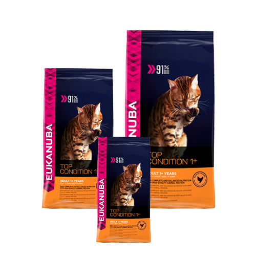  Eukanuba Cat Top Condition 1+