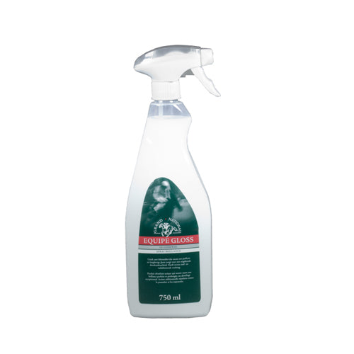  Grand National Equipe Gloss Spray