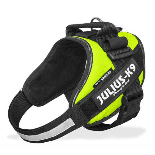  Julius K9 IDC Power Harness