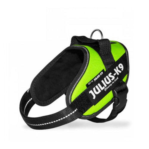  Julius K9 IDC Power Harness