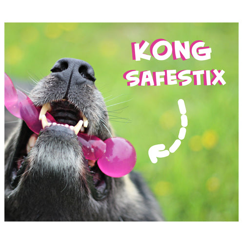  KONG Safestix
