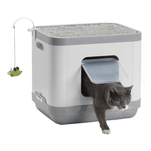  Moderna Cat Concept