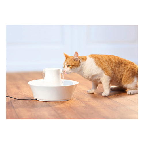  PetSafe Drinkwell Avalon Pet Fountain