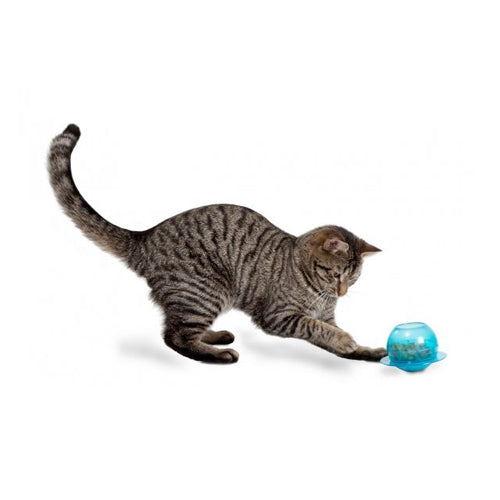  PetSafe Fishbowl Cat Toy