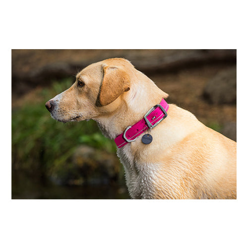  Ruffwear Headwater Collar