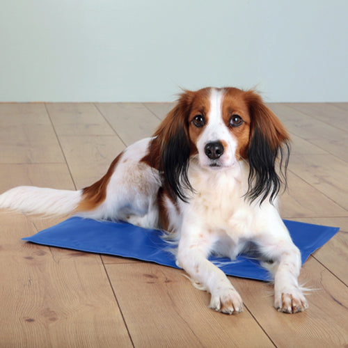  Trixie Cooling Mat - Blue
