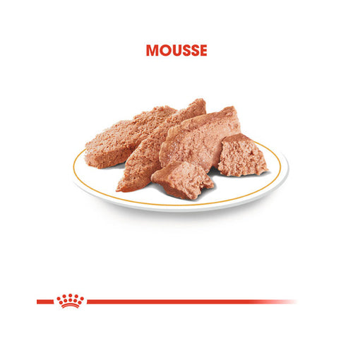 Biofood Royal Canin Chihuahua Adult Wet - Dog Food