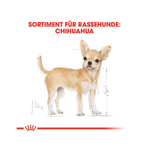 Biofood Royal Canin Chihuahua Adult Wet - Dog Food