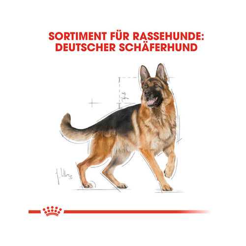  Royal Canin German Shepherd Adult - Dog Food
