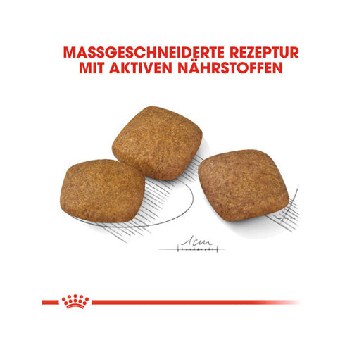  Royal Canin Maxi Relax Care - Dog Food