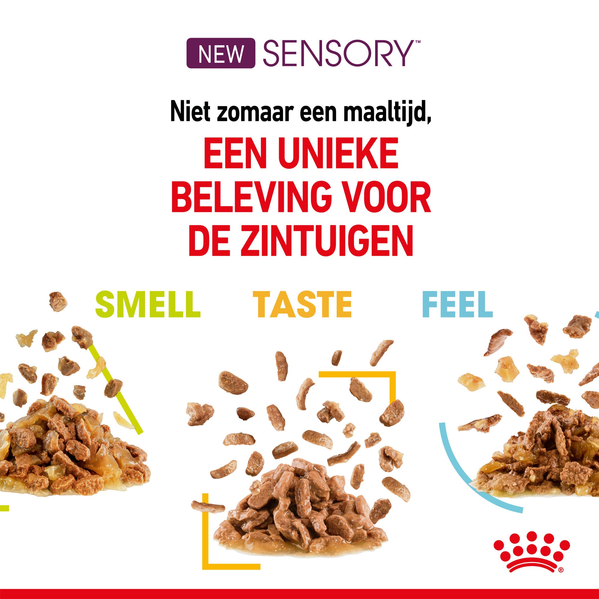 SHEBA Royal Canin FHN Sensory Feel In Gravy 
