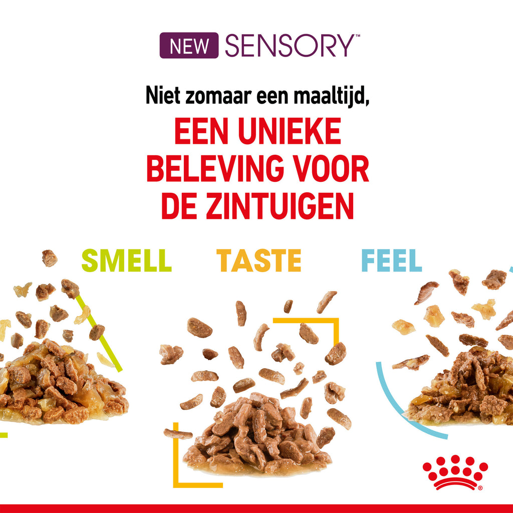 Lily's Kitchen Royal Canin FHN Sensory Taste In Gravy