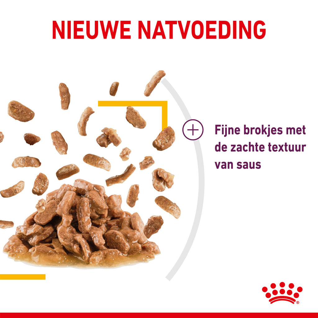 Lily's Kitchen Royal Canin FHN Sensory Taste In Gravy