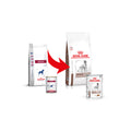  Royal Canin Hepatic Dog