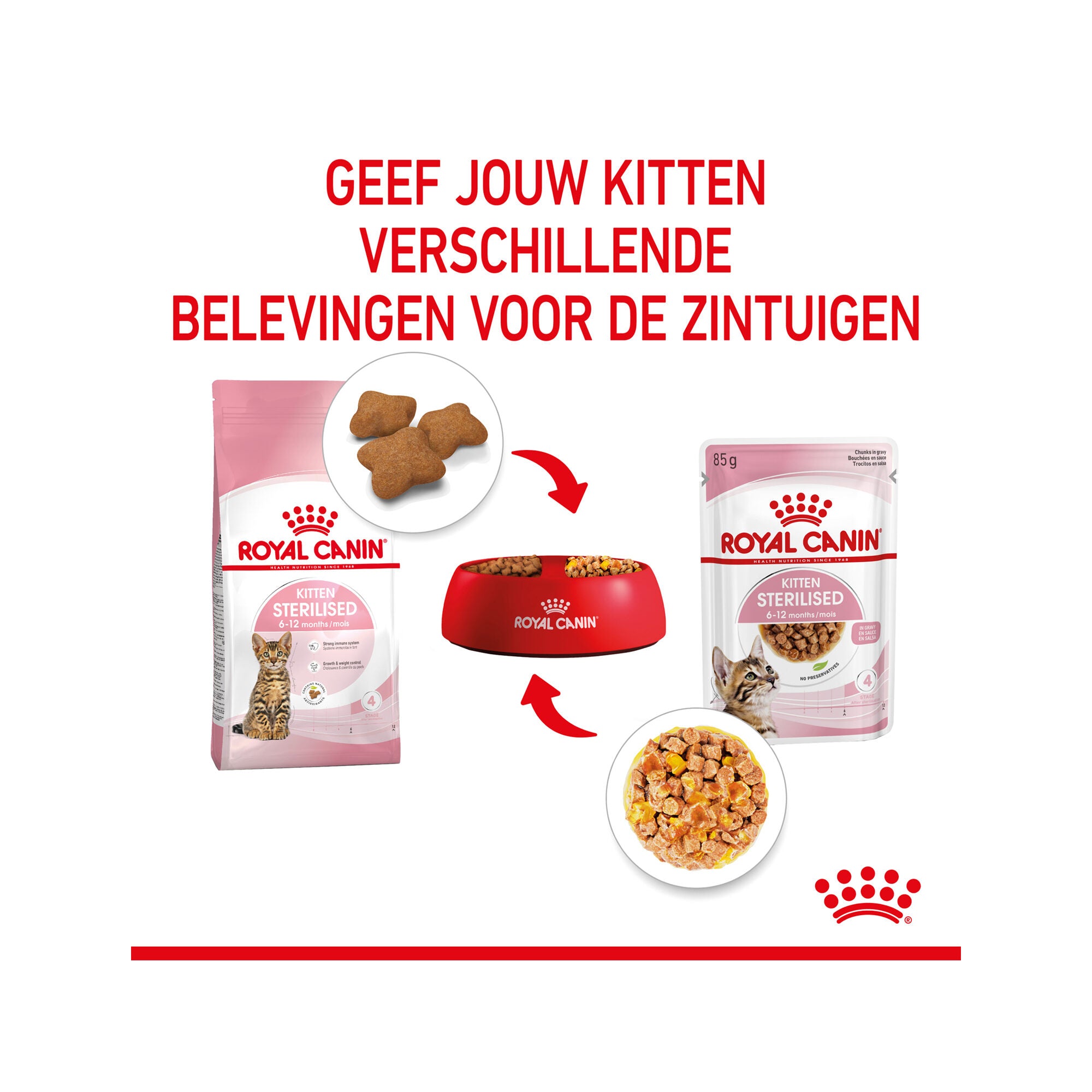  Royal Canin Kitten Sterilised In Jelly - Meal Sachet
