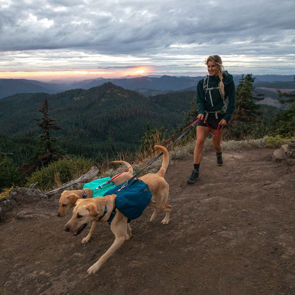  Ruffwear Front Range Day Pack - Blue Moon