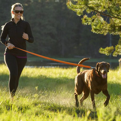  Ruffwear Roamer Leash