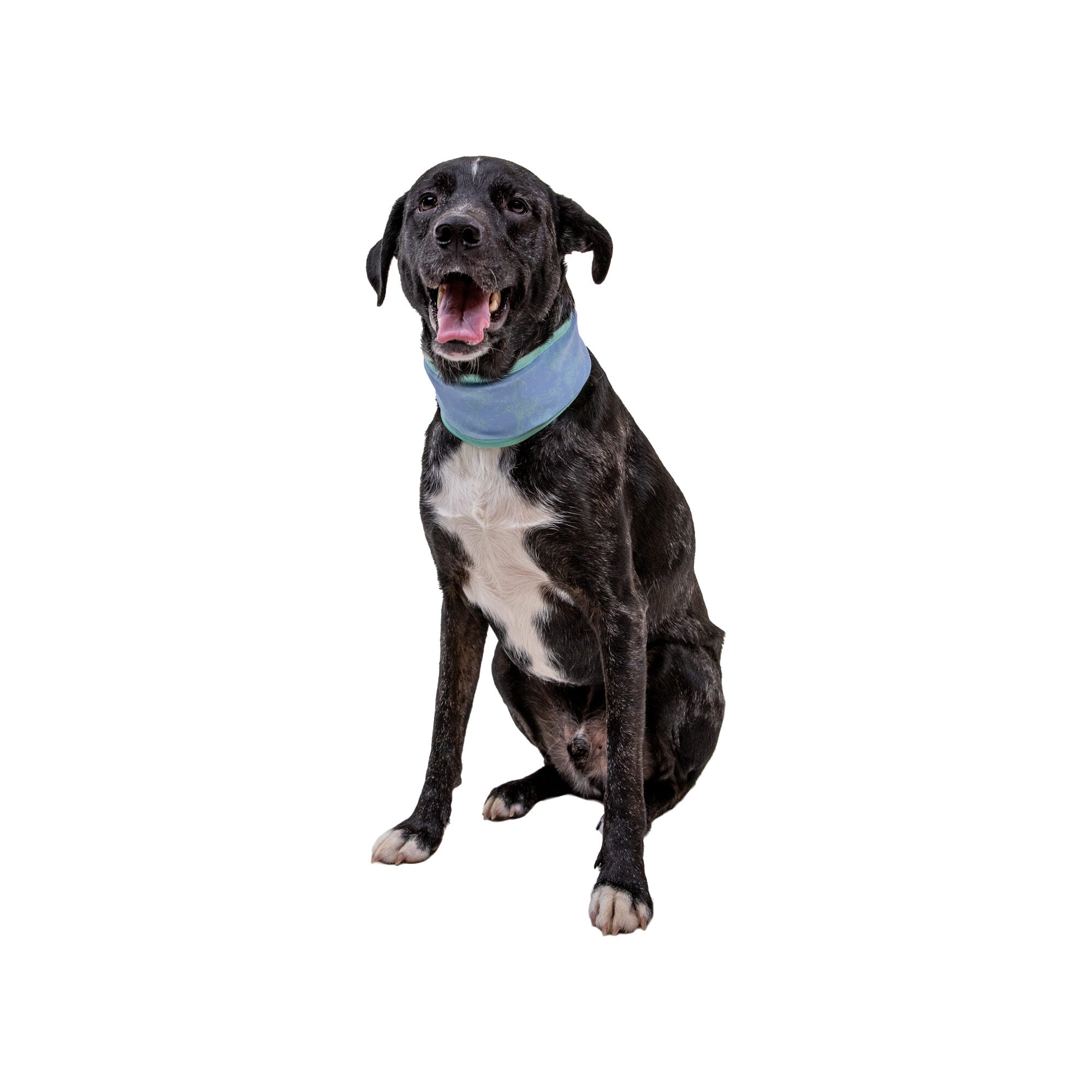  Ruffwear Swamp Cooler Neck Gaiter