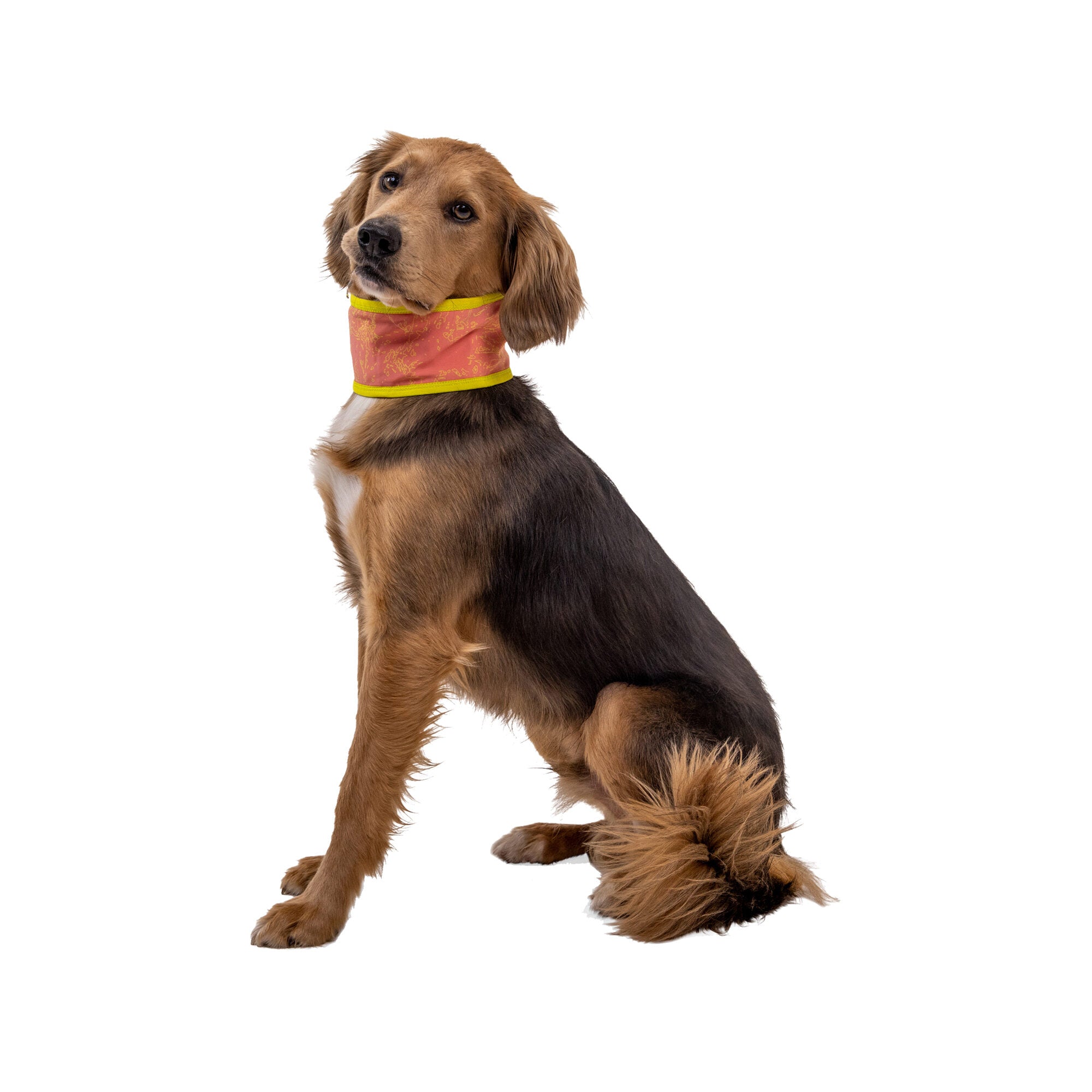  Ruffwear Swamp Cooler Neck Gaiter