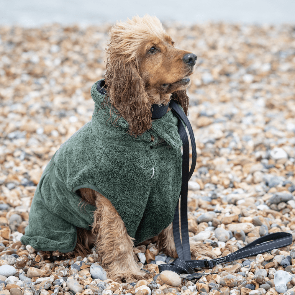  RukkaPets Eco Bathrobe Medea