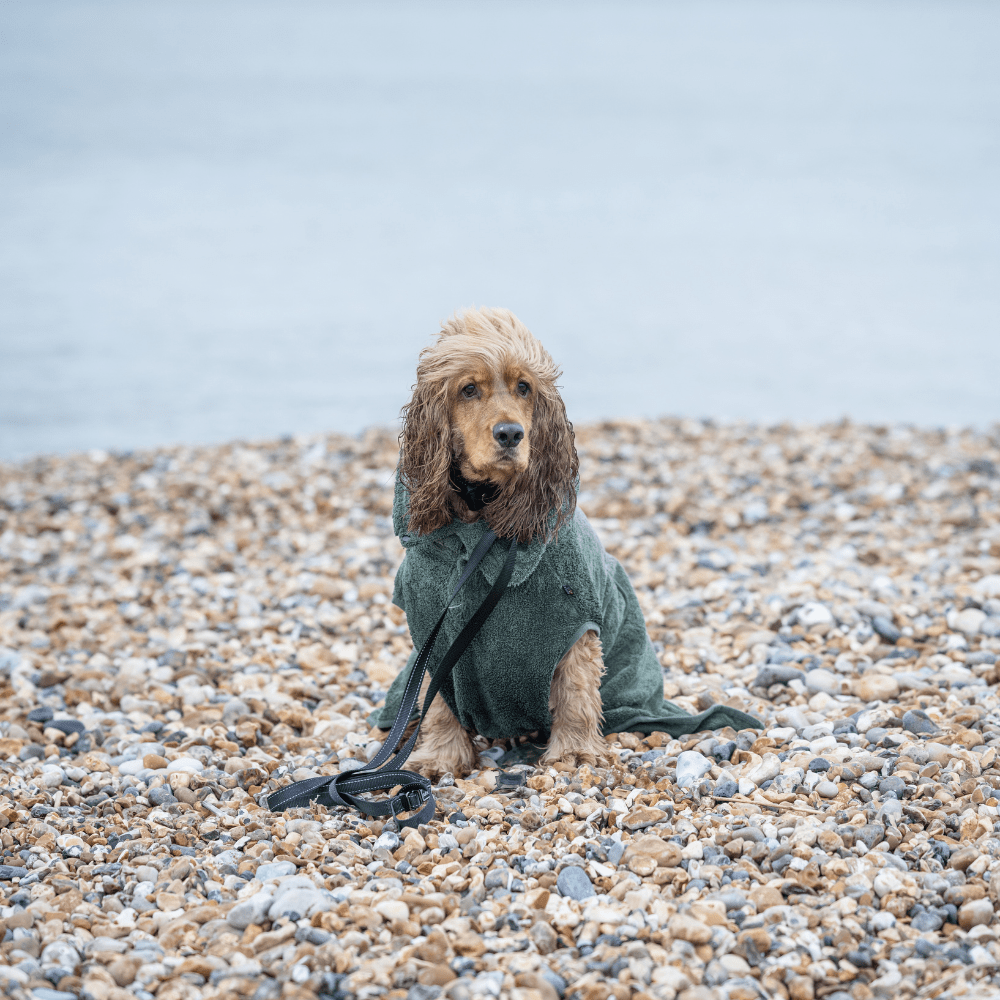  RukkaPets Eco Bathrobe Medea