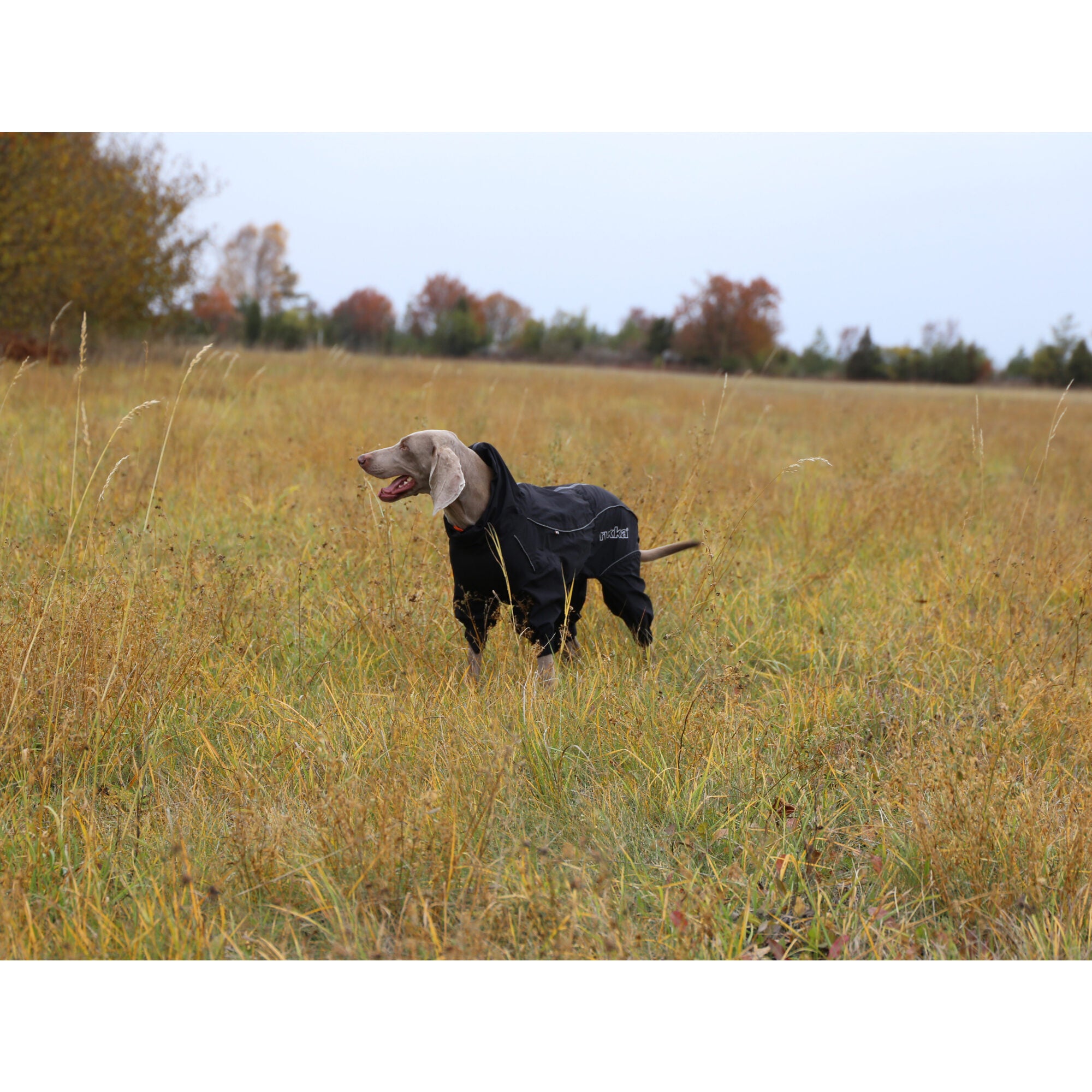  RukkaPets Protect Overall Black