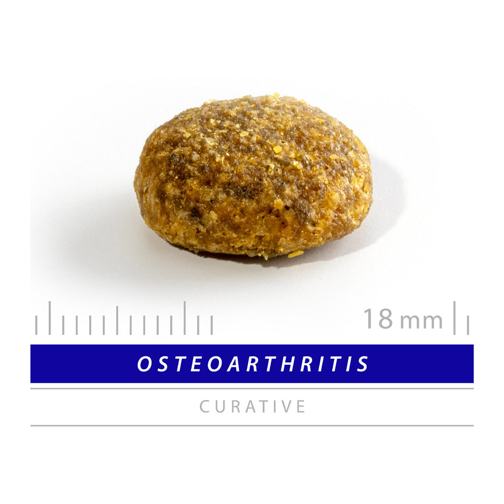  SANIMED Osteoarthritis Dog