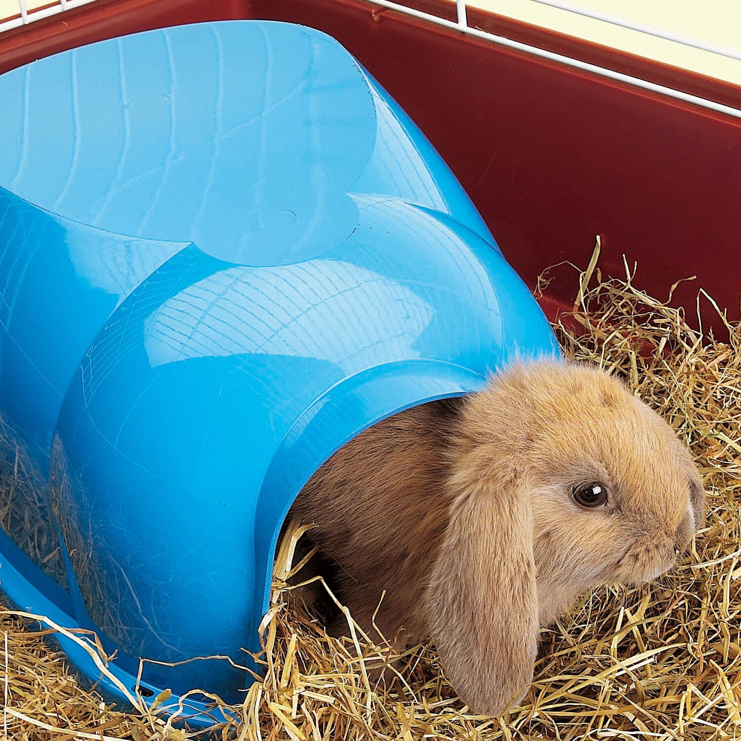 Trixie Savic Cocoon