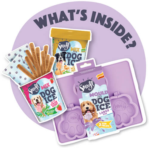  Smoofl Dog Ice Starter Kit - Medium