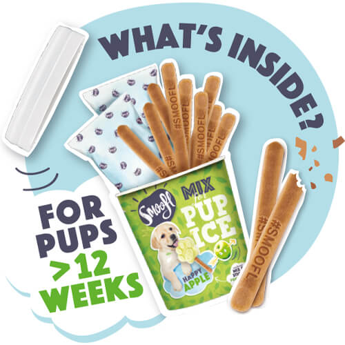 ROGZ Smoofl Ice Mix For Pups