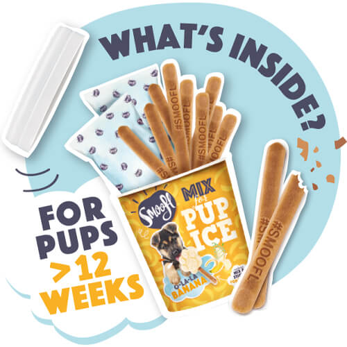 ROGZ Smoofl Ice Mix For Pups