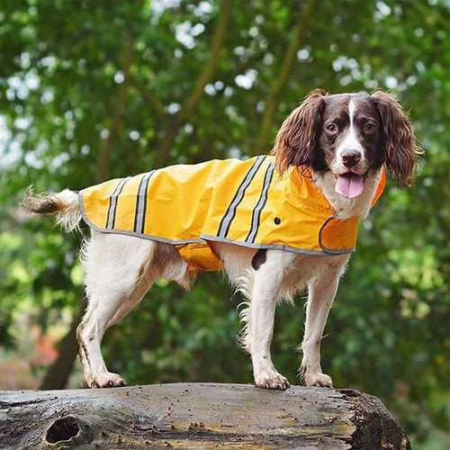 Sötnos Dog Raincoat