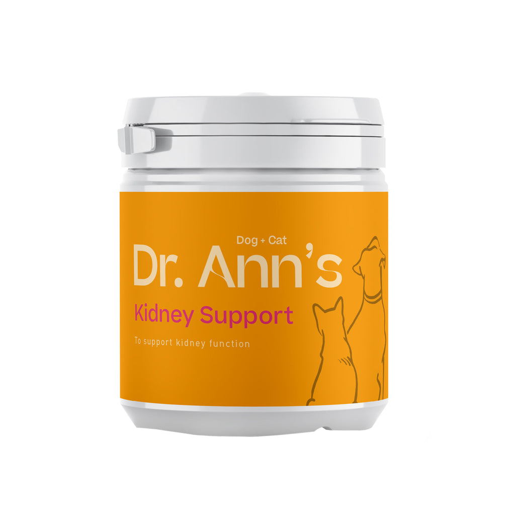  Dr. Ann's Kidney Support