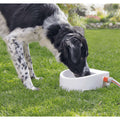  Trixie Automatic Outdoor Water Bowl