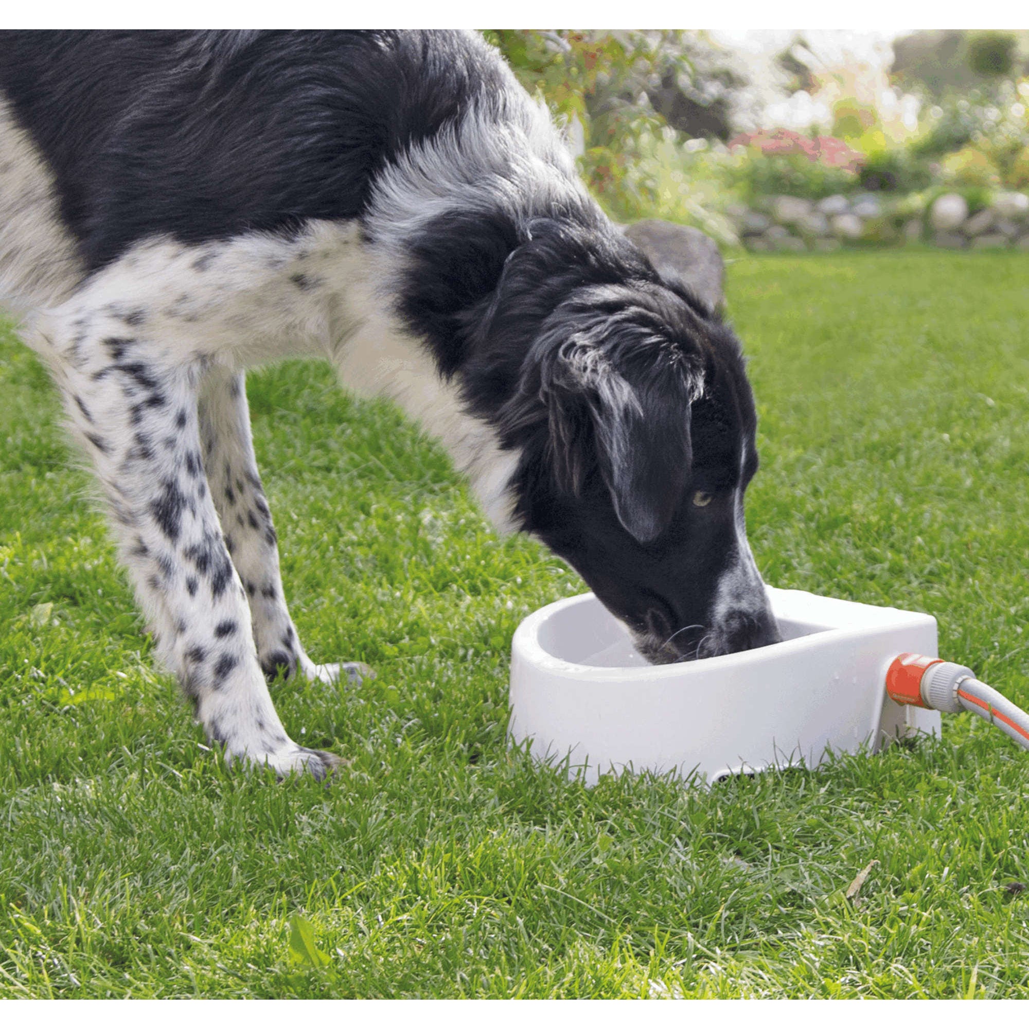  Trixie Automatic Outdoor Water Bowl
