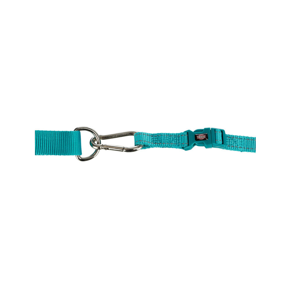  Trixie Waist Belt With Lead