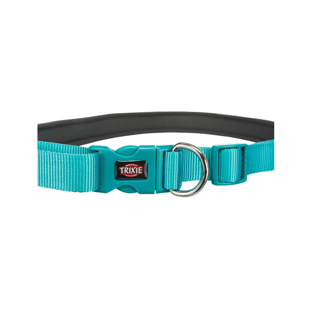  Trixie Waist Belt With Lead