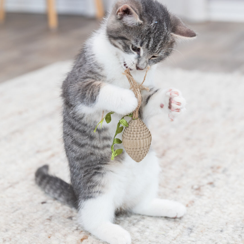 West Paw Trixie Cardboard Pinecone