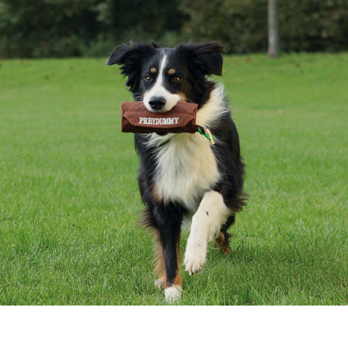 PetSafe Trixie Dog Activity Prey Dummy