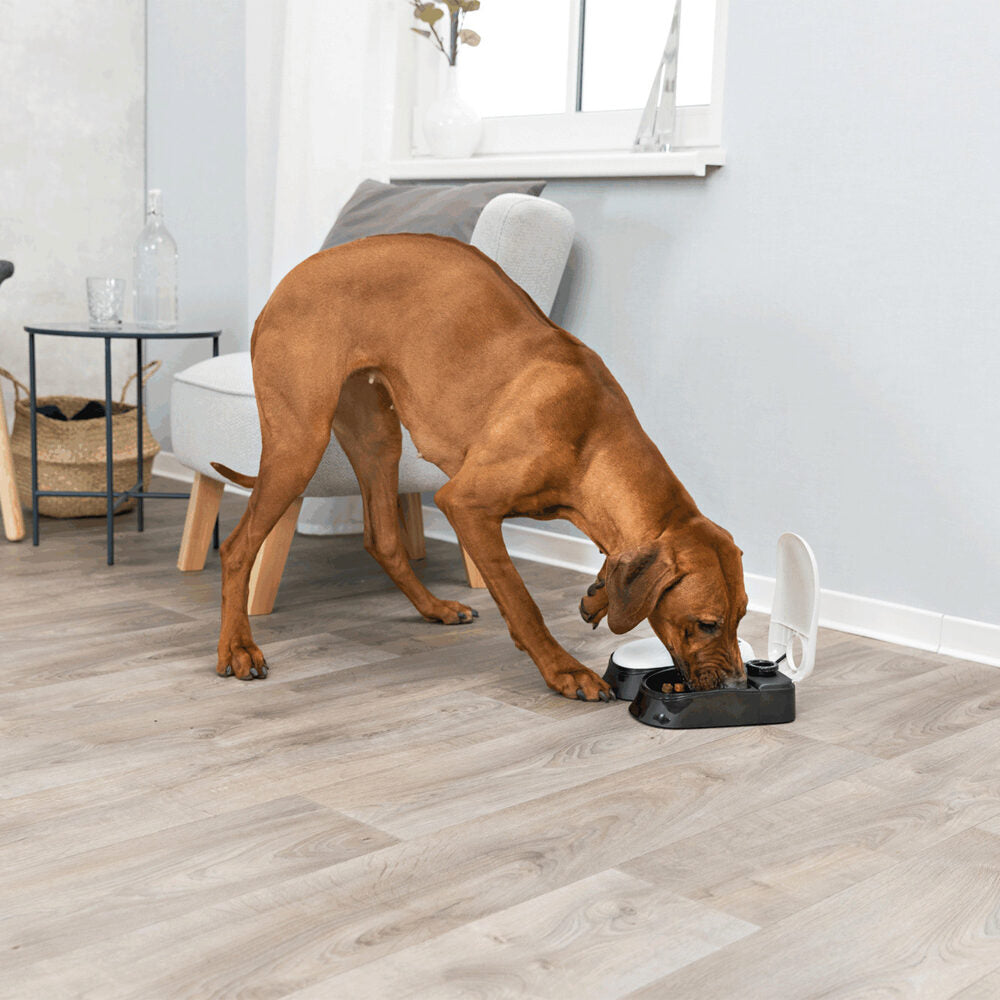  Trixie Automatic Pet Feeder TX2