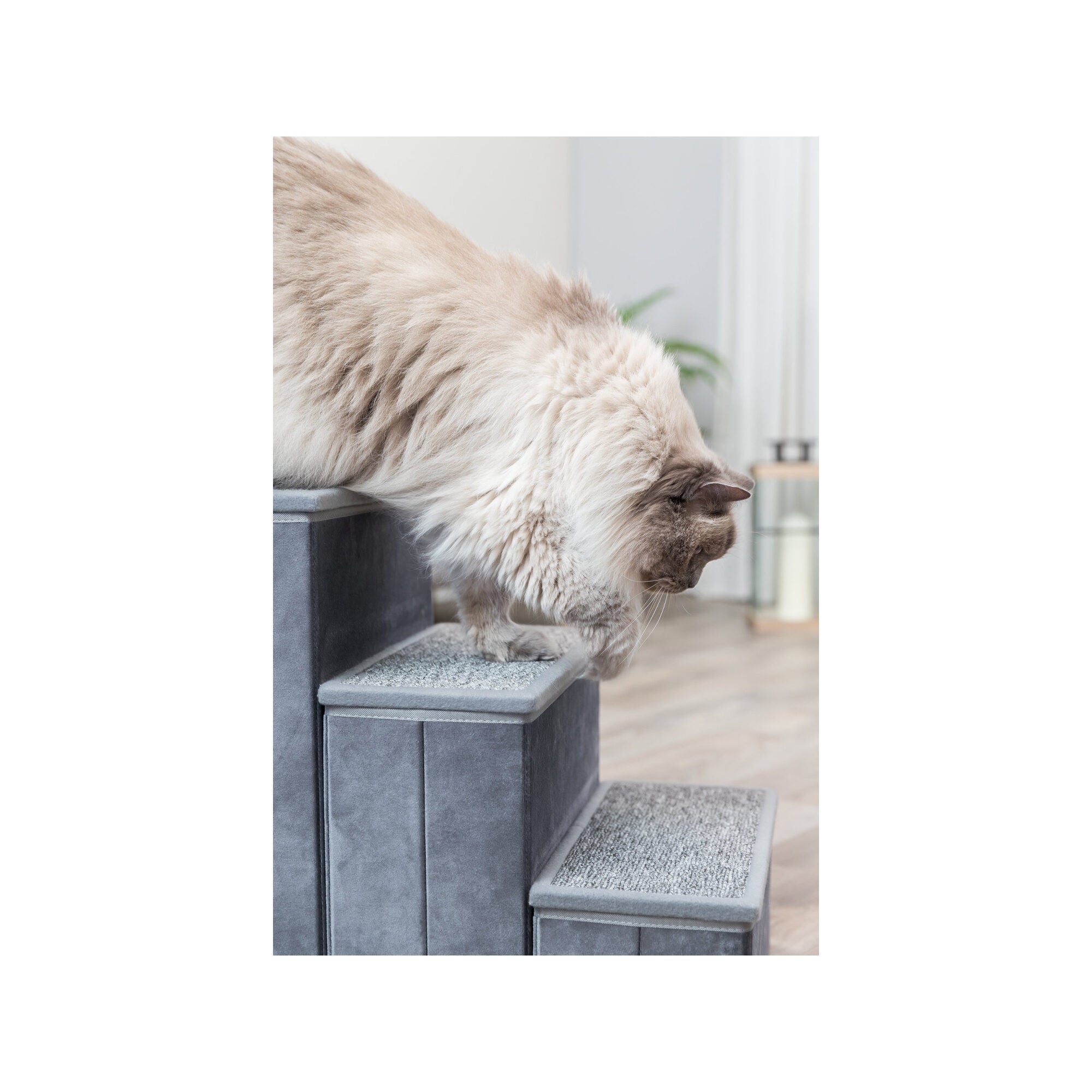  Trixie Pet Stairs