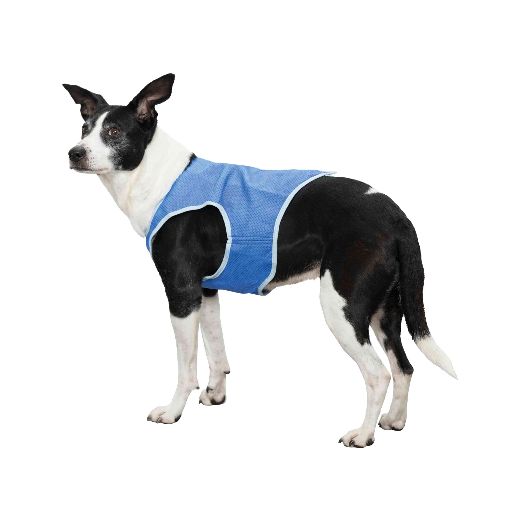  Trixie Cooling Vest