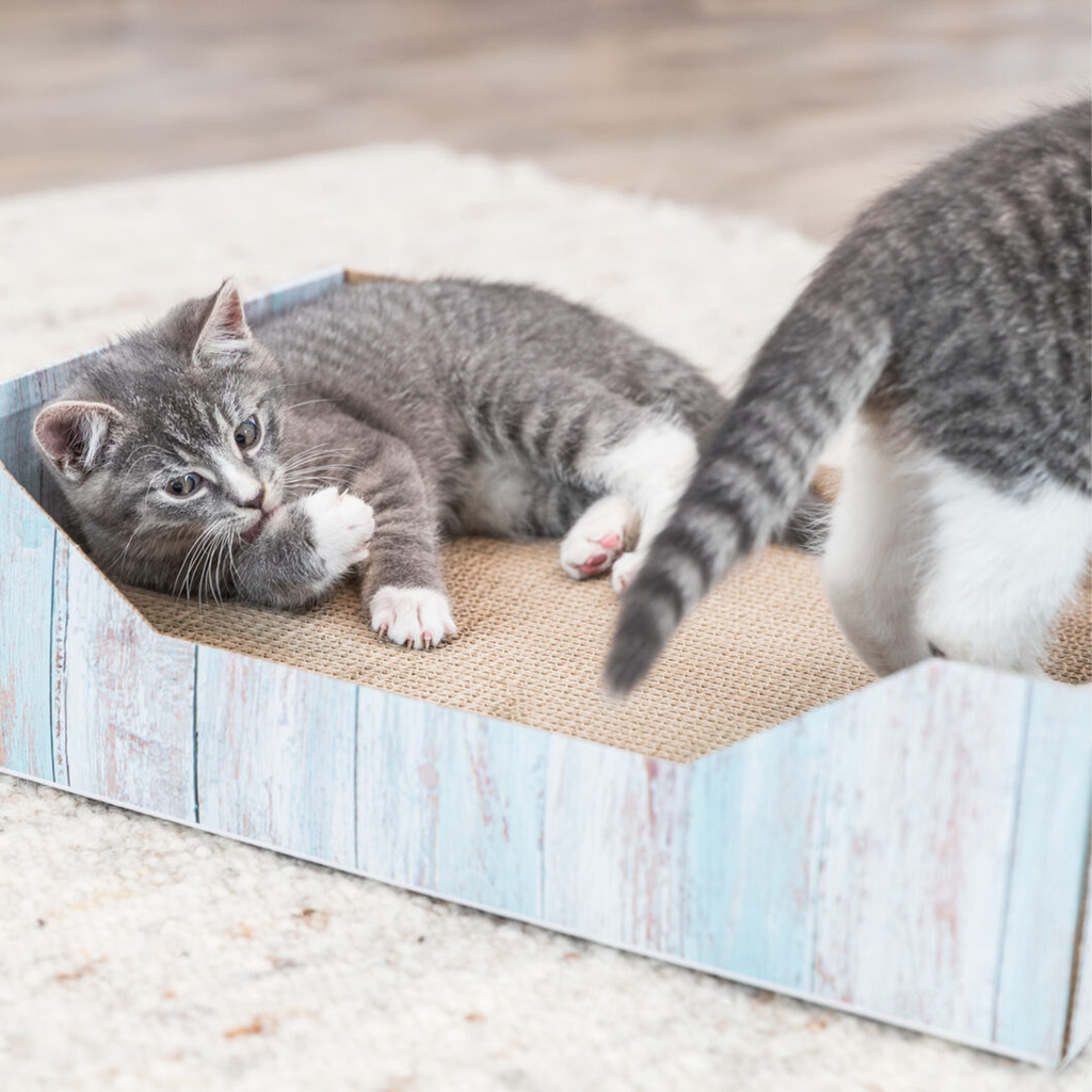 Trixie Scratching Bed Cardboard 