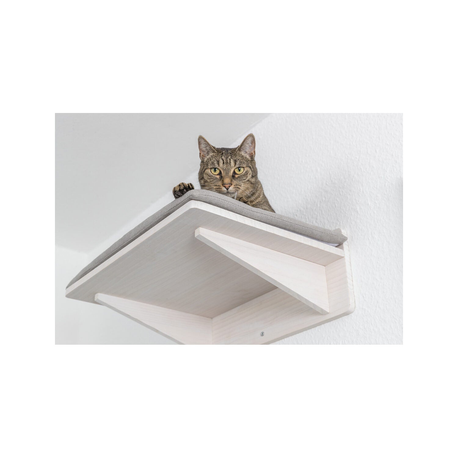 Trixie Wall Mounted Lying Platform