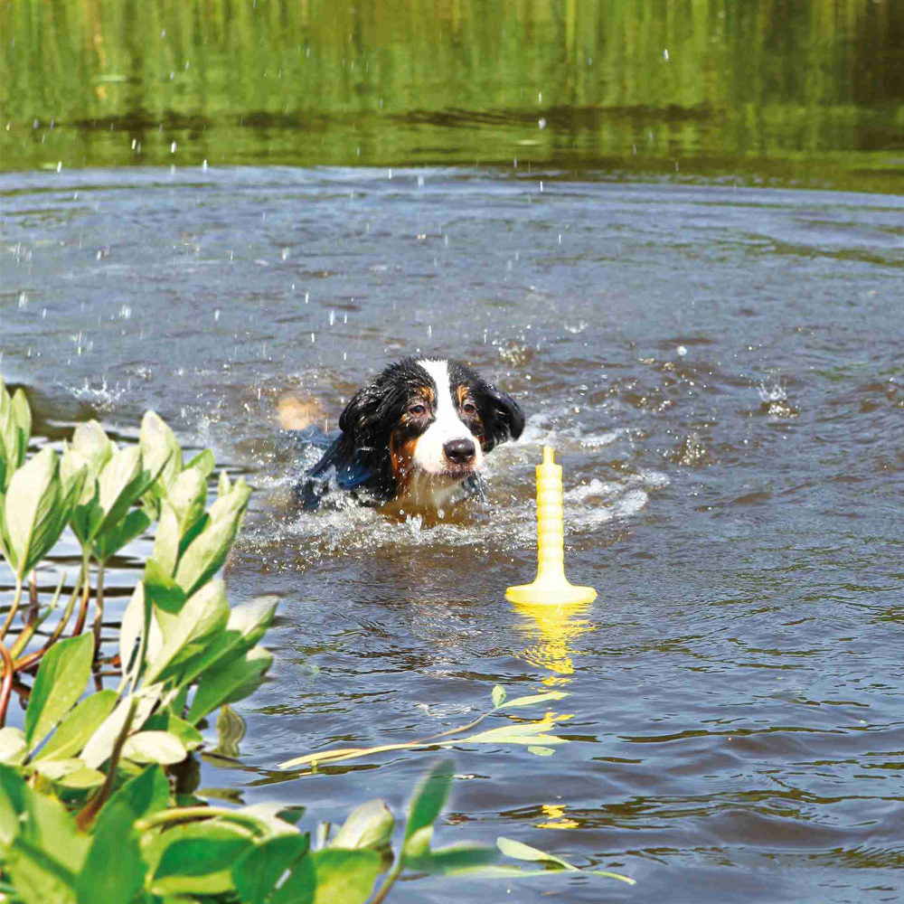  Trixie Dog Activity MOT-Aqua Toy