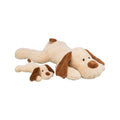  Trixie Cuddle Dog Benny